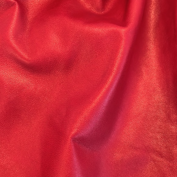 NWOT Greta Constantine red leather dress for Danier - Picture 9 of 10